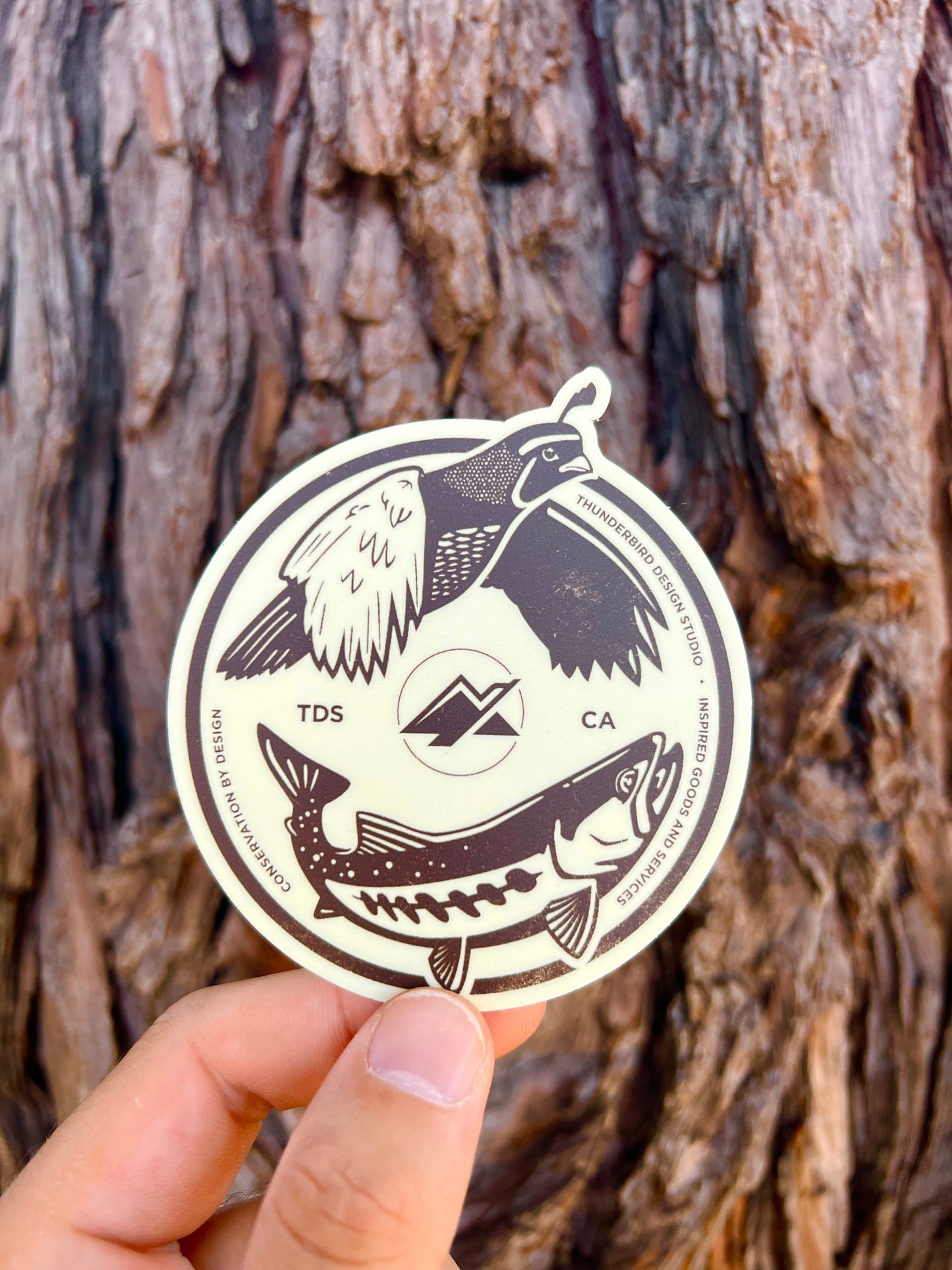 Cast and Blast - Decal