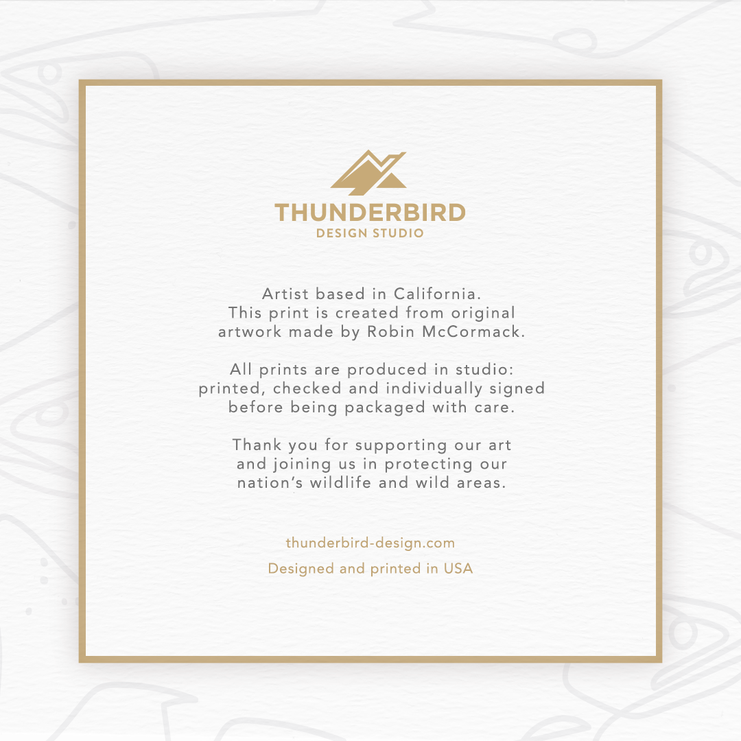 Thunderbird Design StudioSingle Line - Striped Bass Art PrintSingle Line - Striped Bass Art Printart print
Single Line series Striped Bass Art Print. High quality art prints. Unique artwork for the angler. All prints are signed.
Size: 11"x14"Stock: High Quality 135lb. Ac