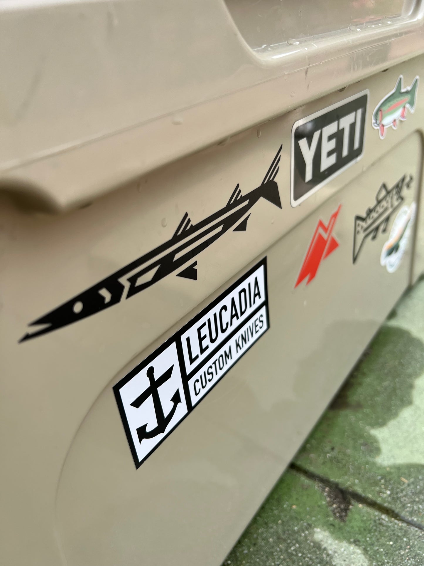 Cuda Shaker Sticker Barracuda Transfer Decal | Thunderbird Design Studio
