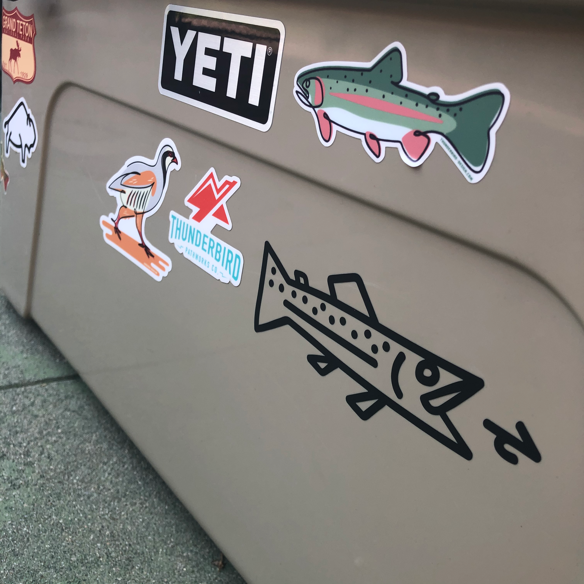 Rainbow Trout - Single Line Decal