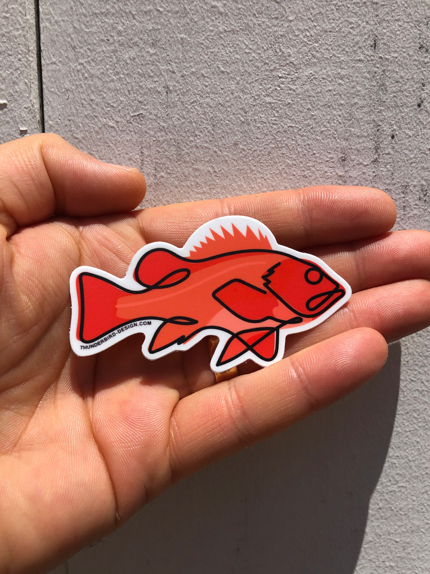 Thunderbird Design StudioVermillion Rockfish - Single Line DecalVermillion Rockfish - Single Line Decal
Drawn, Single Line Contour Illustration of a Vermilion Rockfish.
3" Weatherproof matte decals perfect for your water bottle, tackle box, car window or whatever else
