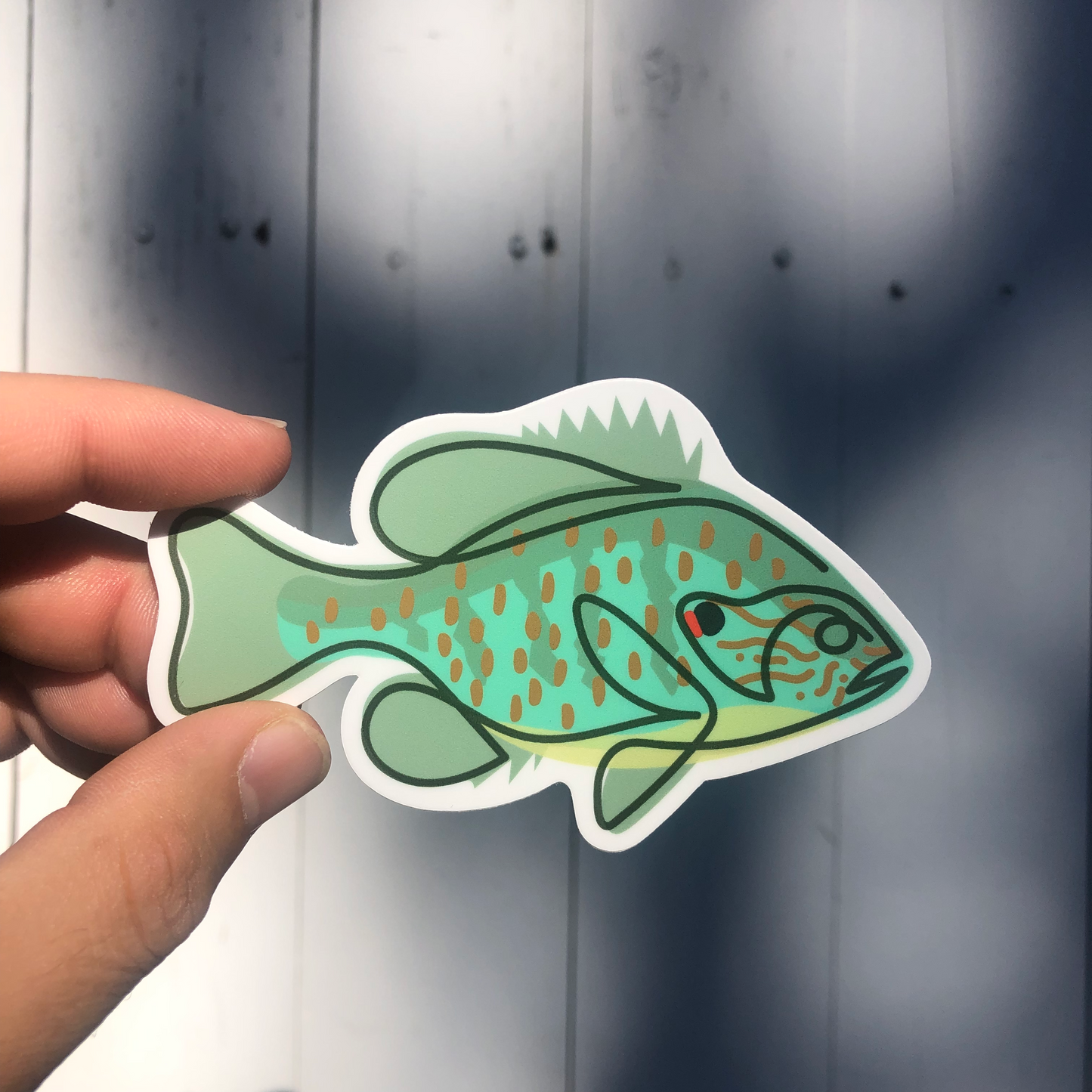 Pumpkinseed Sunfish - Single Line Decal