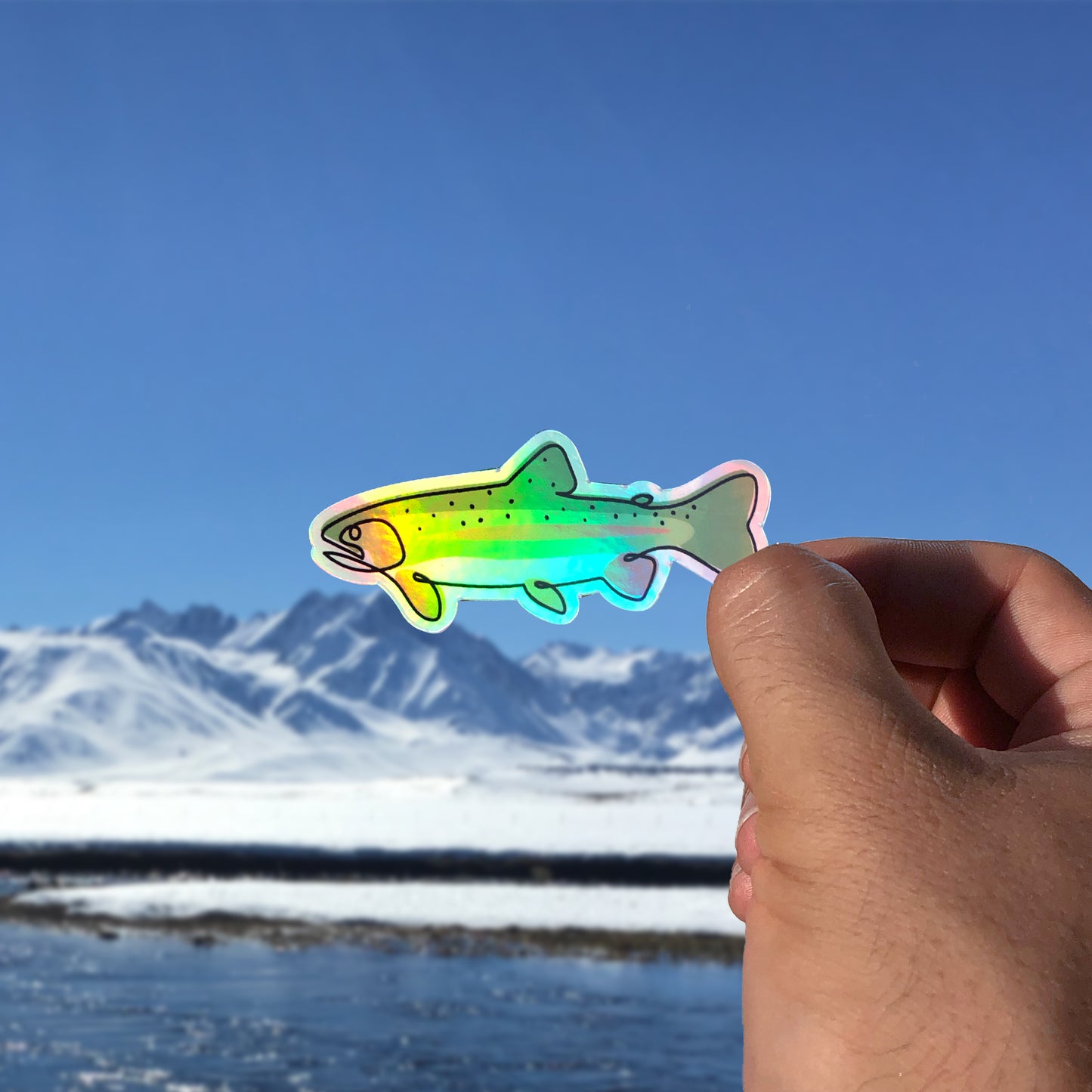 Rainbow Trout - Single Line Holographic Decal