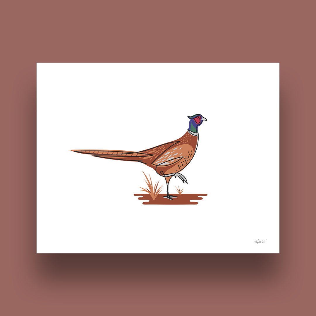 Thunderbird Design StudioSingle Line - Pheasant Art PrintSingle Line - Pheasant Art PrintPrint
This print is of a single line illustration of a Pheasant. Quality art prints showoff these beautiful upland birds in a unique way. All prints are signed. 
Size: 11