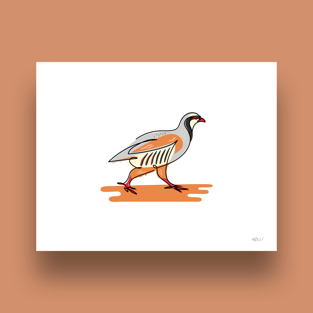Thunderbird Design StudioSingle Line Upland Chukar Art PrintSingle L